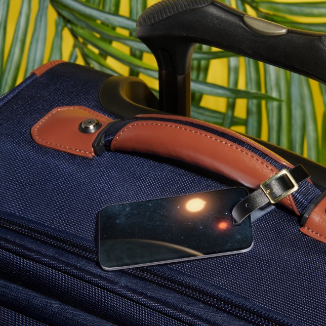 Konstnärskoncept som illustrerar Kepler-16b. Bagagebricka (Framsida Insitu 3)