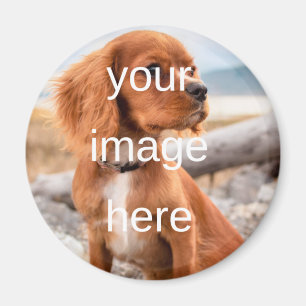 KONSTRUERA DIN EGEN MAGNET