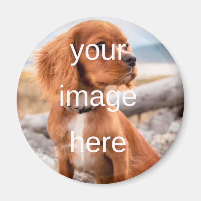 KONSTRUERA DIN EGEN MAGNET (Framsidan)