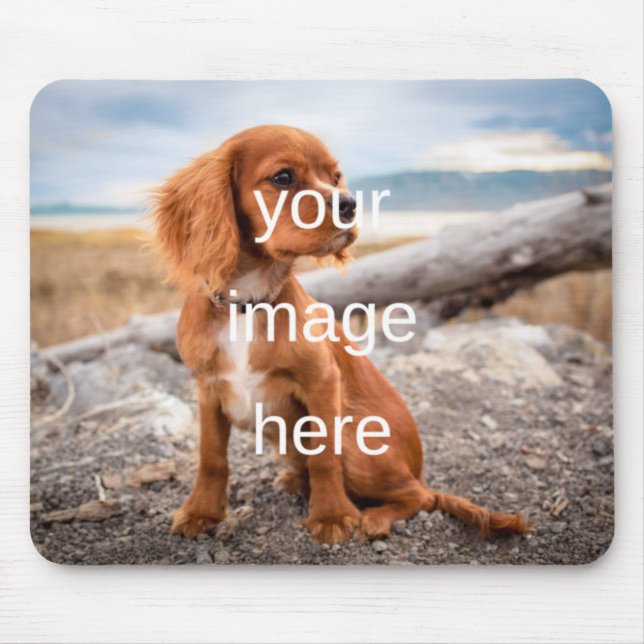 KONSTRUERA DIN EGEN MUSMATTA (Framsidan)