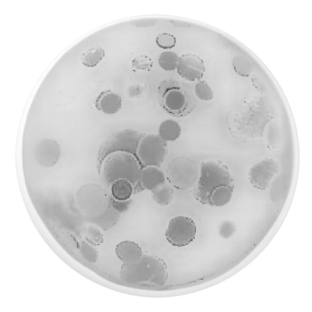 KONSTRUKTION AV DÖRRACERAMISK PULL-KONT STIL KNOPP (Framsidan)