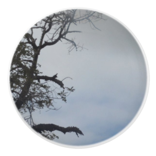 KONSTRUKTION AV DÖRRPULL CERAMISKT FORMAT KNOPP (Framsidan)