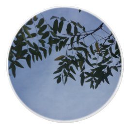 KONSTRUKTION AV DÖRRPULL CERAMISKT FORMAT KNOPP