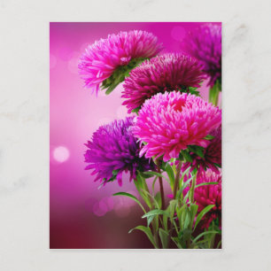 Konstruktion för Aster Autumn Flowers Vykort