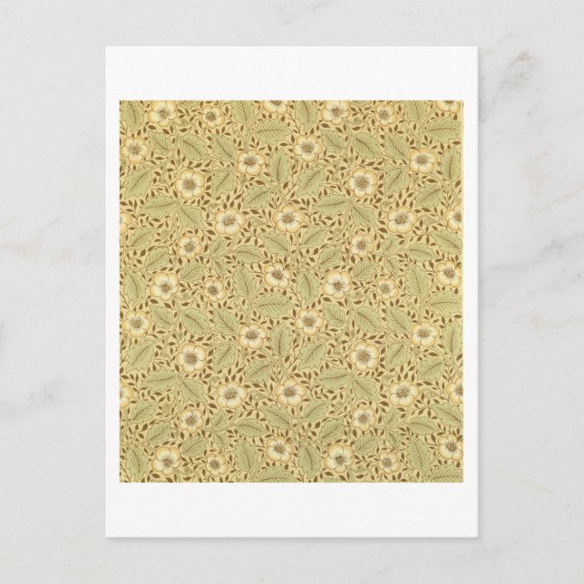 Konstruktion för Briar Ro i tapet Vykort (Framsida)