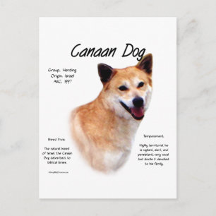Konstruktion för Canaan Hund-historik Vykort