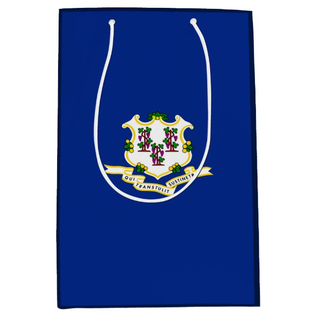 Konstruktion för Connecticut Statlig flagga (Framsidan)