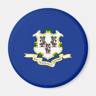 Konstruktion för Connecticut Statlig flagga Magnet