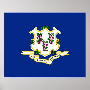 Konstruktion för Connecticut Statlig flagga Poster