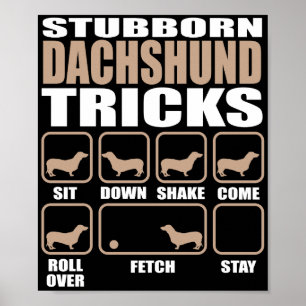 Konstruktion för stubborn Dachshund Tricks Poster