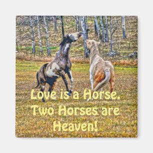 Konstruktion för två lekande pigmenthästar magnet