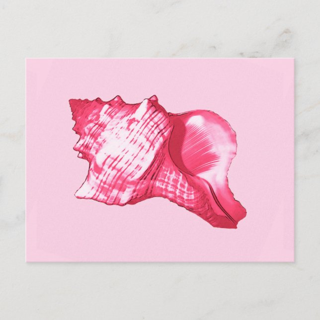 Konstskiss av snigelskal - fuchsia rosa och vit vykort (Framsida)