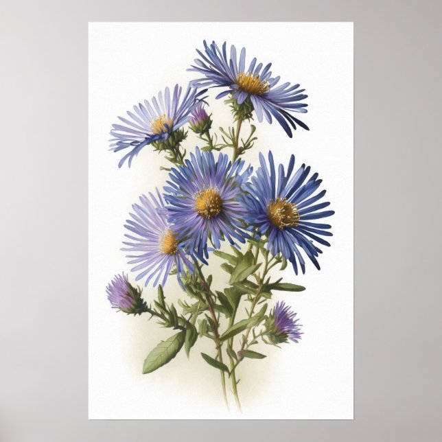 Konsttryck Affisch Blå Asterblomma (Framsidan)
