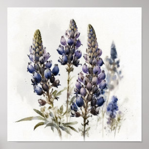 Konsttryck Affisch Blå Lupinblomma