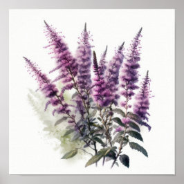 Konsttryck Affisch med lila Astilbe-blomma