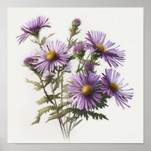 Konsttryck Affisch med Violett Asterblomma
