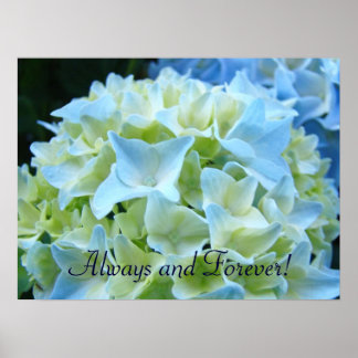 Konsttryck Alltid och för evigt Blå Hydrangea Poster