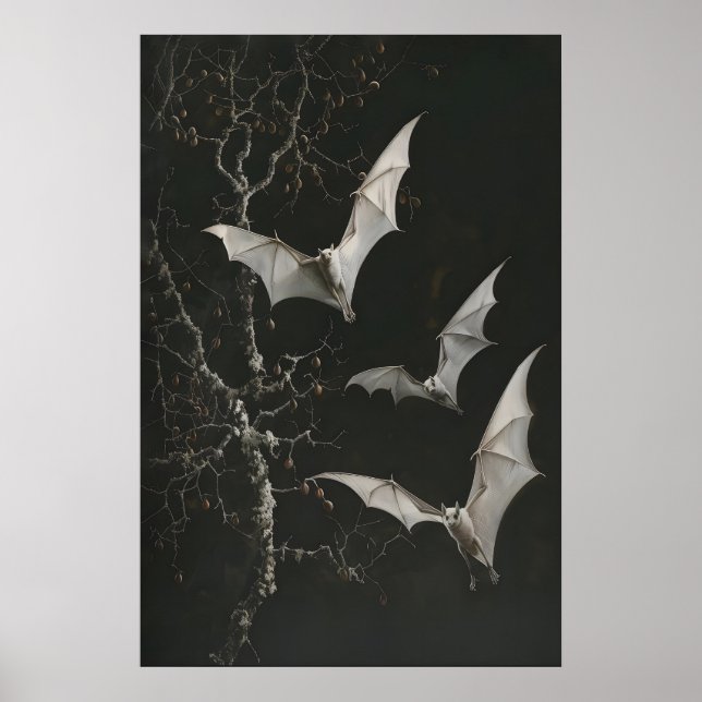 Konsttryck av albino fruktfladdermöss, mörk botani poster (Framsidan)