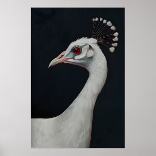Konsttryck av vit påfågel, porträtt av fågel-djur poster
