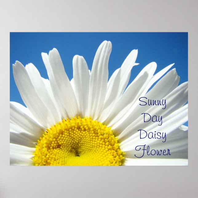 Konsttryck gåvor Solig Dag Tusenskönas Blomma kons Poster (Framsidan)