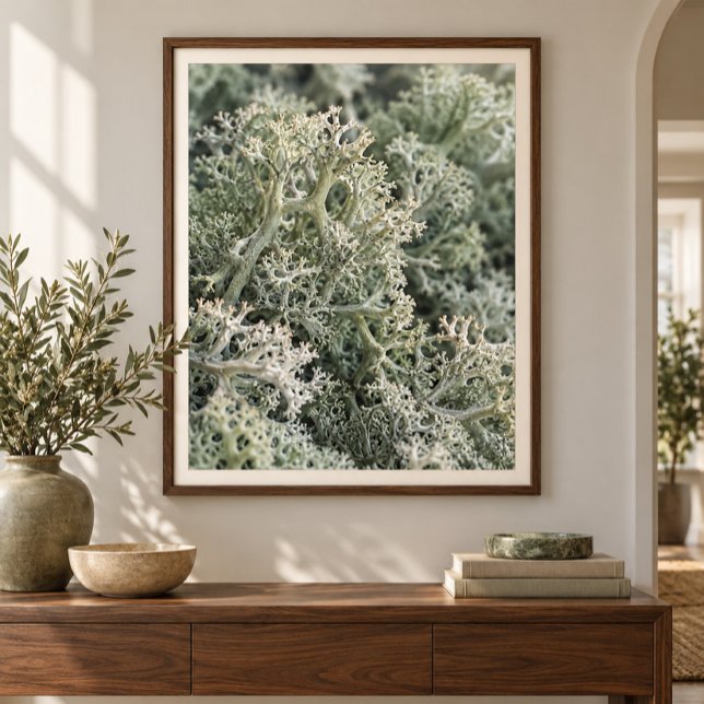 Konsttryck med närbild på renlav poster (Styled display of Reindeer Moss Close Study Art Print. Frame, mat and furnishings shown for illustration; select framing options separately.)