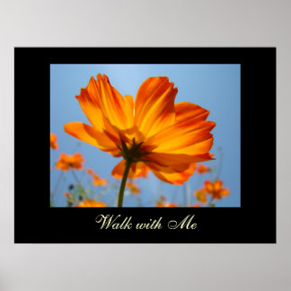Konsttryck Orange Daisy Blommor Walk with Me Poster