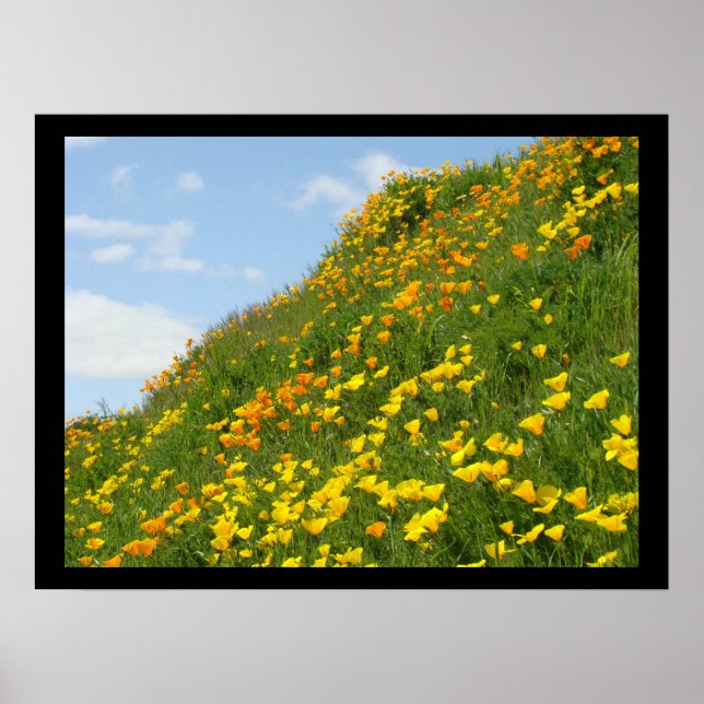 Konsttryck Orange Vallmo Blommor Grönt Fält Poster (Framsidan)