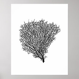 Konsttryck, svart korallfläkt på vit poster