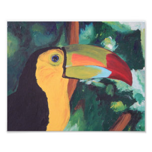 Konsttryck: Toucan Fototryck