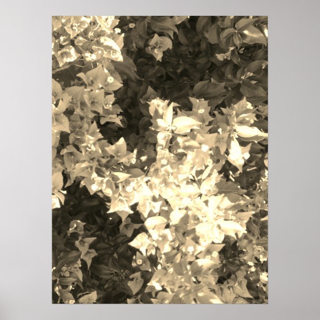 KONT OCH DESIGN WALL POSTER (Framsidan)