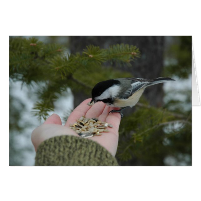 Kontakta Hälsningskort (Framsidan Horizontal)