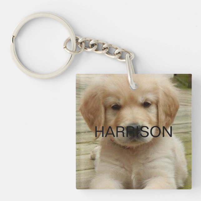 Kontaktinformation för anpassningsbar fotot bild n (Framsidan)