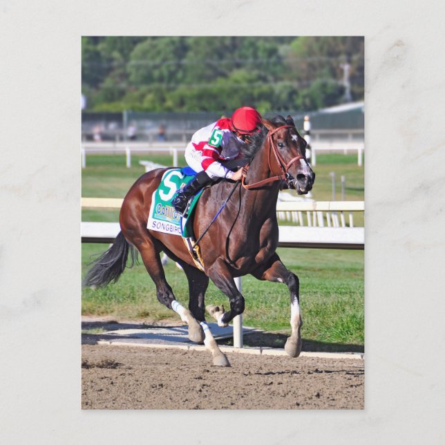 Kontillen 2016 vykort (Framsida)