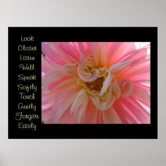 Kontor Konsttryck Rosa Dahlia Blommor Lyssna Berör Poster