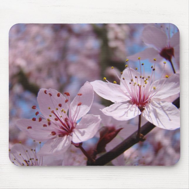 KONTORET GÅVOR Musmattor RÖDA BLOMMOR (Framsidan)