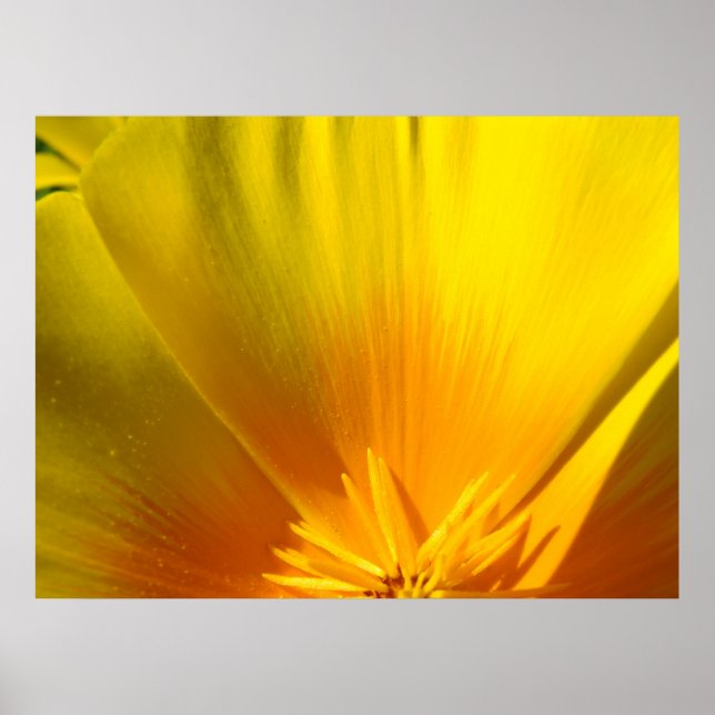 KONTORET KONST VALLMO Blommor 2 Konsttryck Poster (Framsidan)