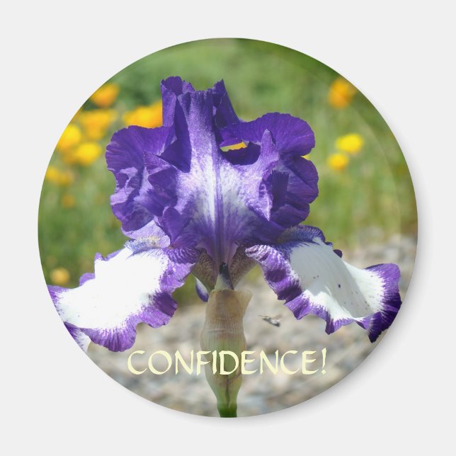 KONTORET PRESENTMAGNETER Lila Iris Blomma Magnet C (Framsidan)