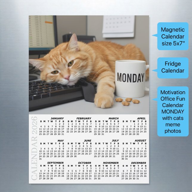 Kontorskatts kylskåpskalender 2026, måndagsmotivat (Motivational Fridge Calendar 2026 / Office Cats / Magnetic)