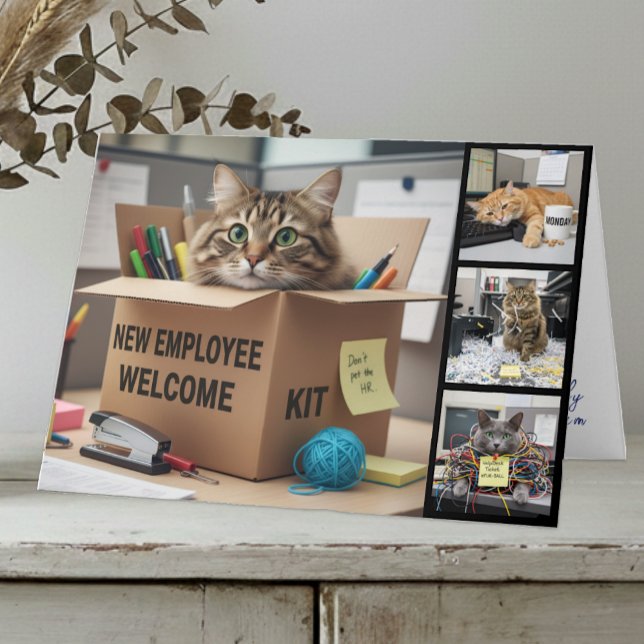 Kontorskul Katter Fotokort, Födelsedag, Katt Kort (Cat meme Photo Card / Fun Office & Business Card)