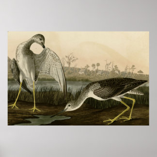 Kontrollampa Godwit Poster
