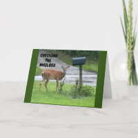 **KONTROLLERA DIN POSTBOX PÅ BIRTHDAY**