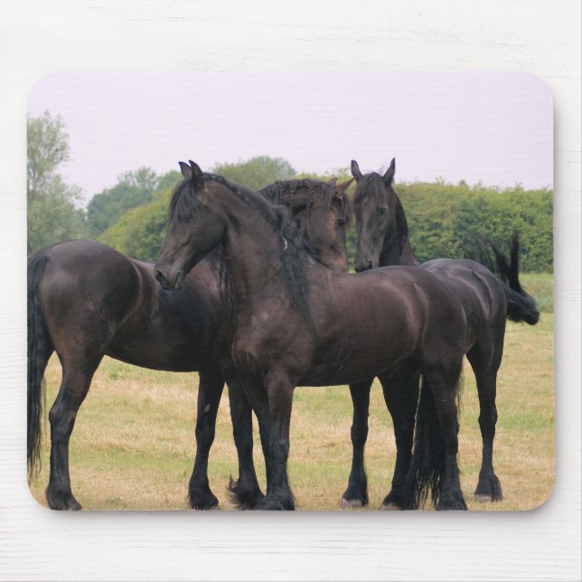 Kontrollera eachother ut musmatta (Framsidan)