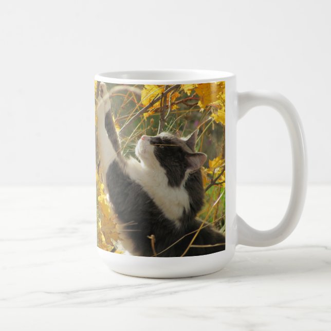 Kontrollera ut det höst färger vid djoneill kaffemugg (Höger)