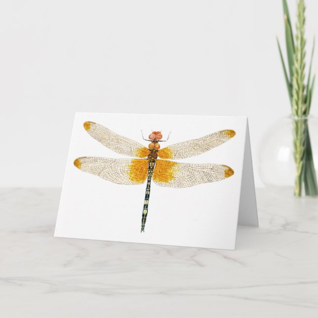 Kontrollerad inställning av Dragonfly-vattenfärg Kort (Framsida)