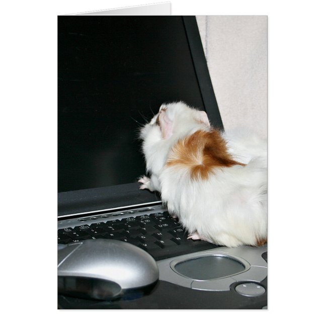 Kontrollerar e-post hälsningskort (Framsidan)