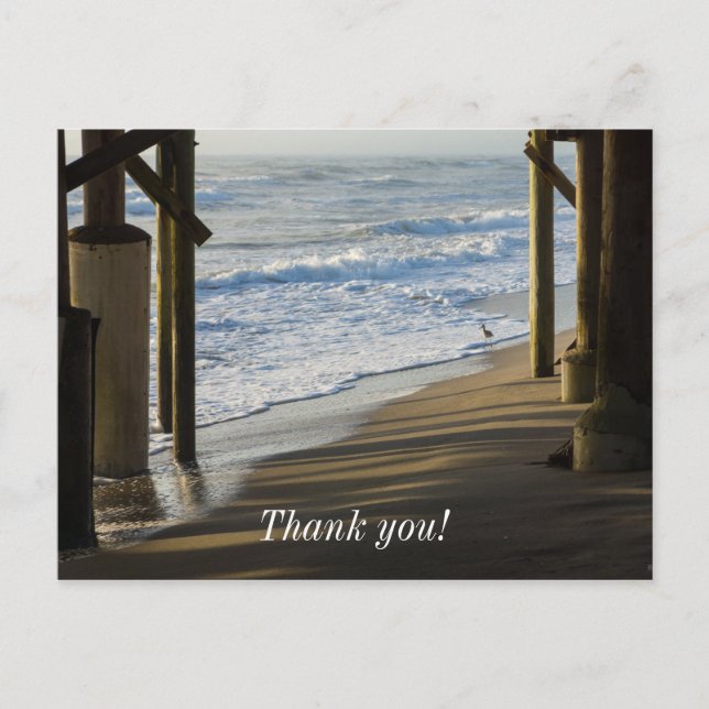 Kontrollerar strandlinjen vykort (Framsida)