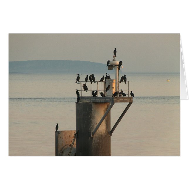 Kontrollordning Hälsningskort (Framsidan Horizontal)