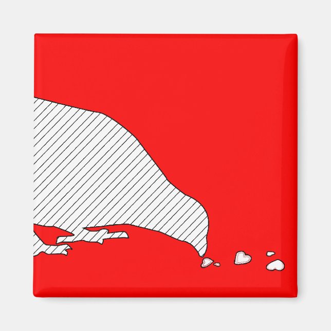 Kontrollordning. Magnet (Framsidan)