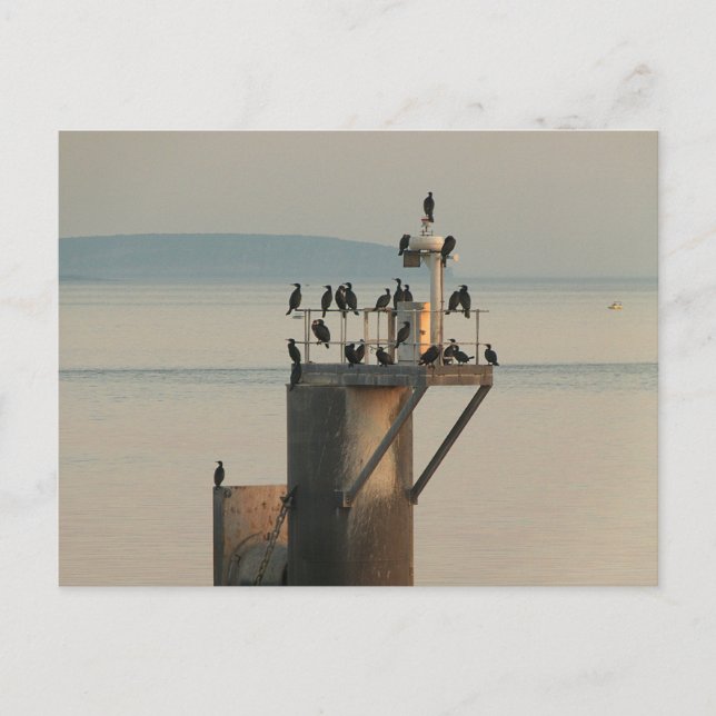 Kontrollordning Vykort (Framsida)