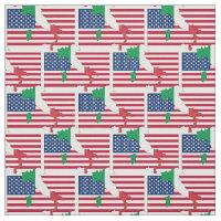 Kontur för ITALIENSKA AMERIKANN Flagga Karta